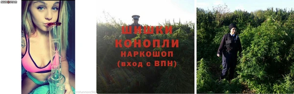 герыч Нефтекумск