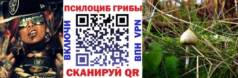 Галлюциногенные грибы прущие грибы  Купить где  Томмот 